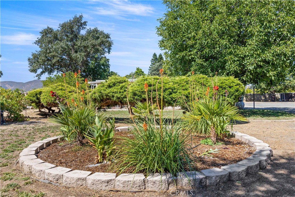 Property photo 43