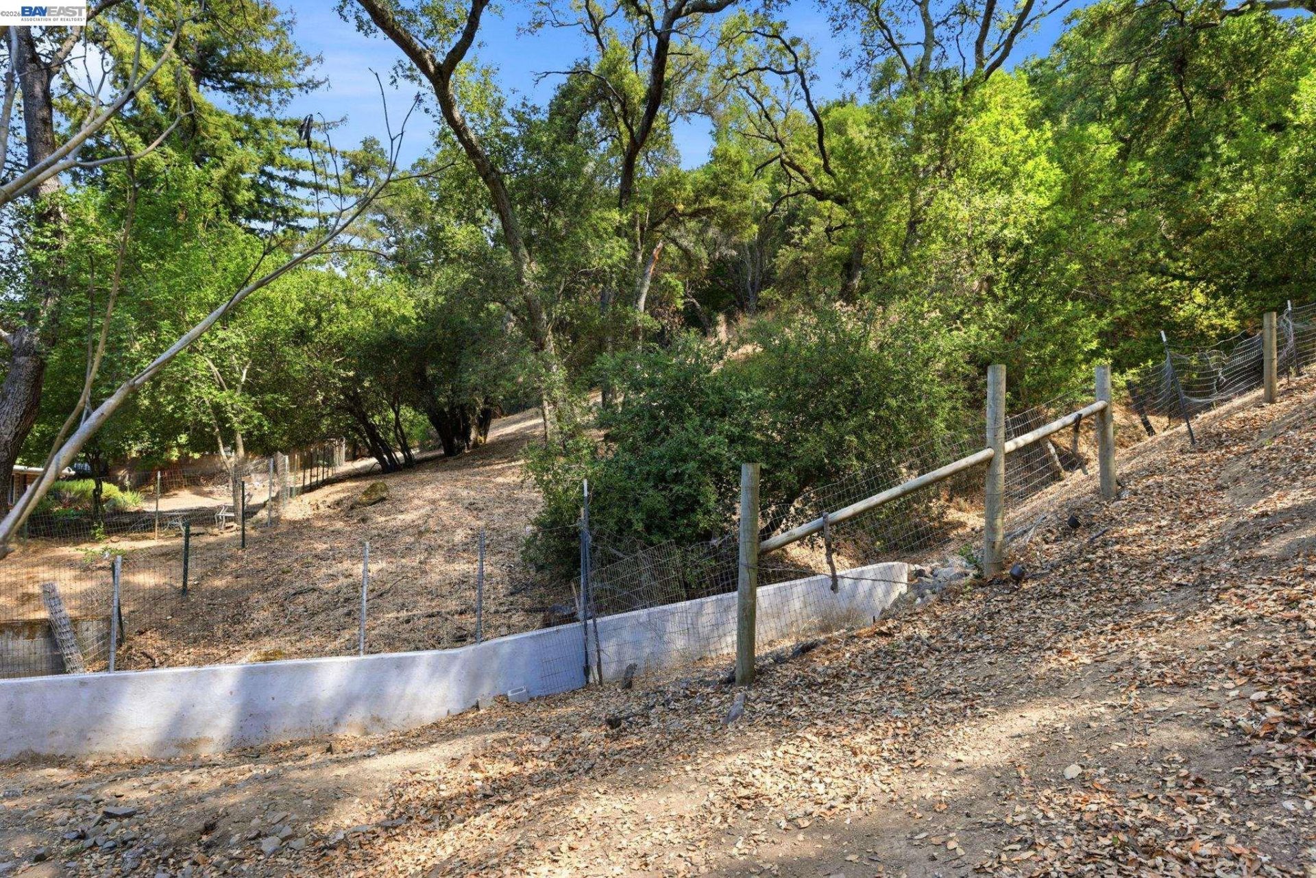 Property photo 42