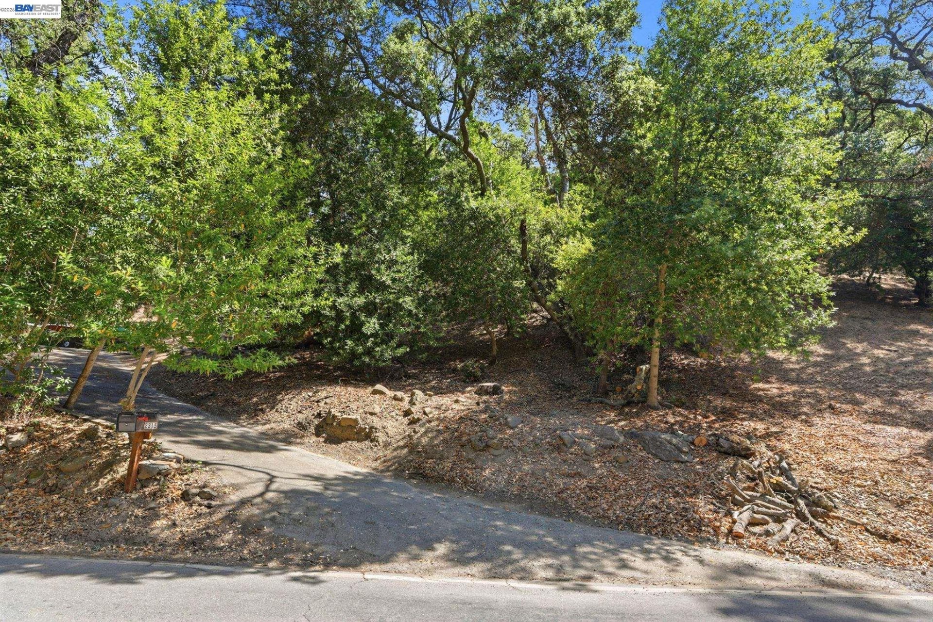 Property photo 44
