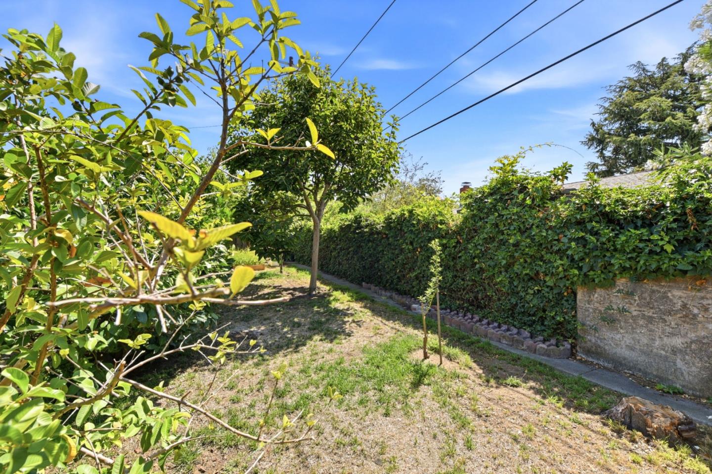 Property photo 48