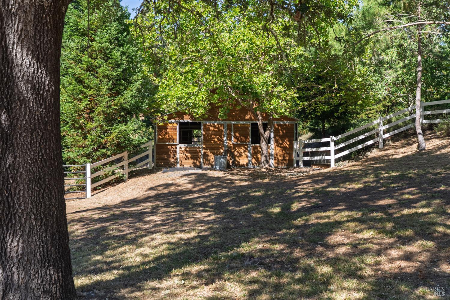 Property photo 49