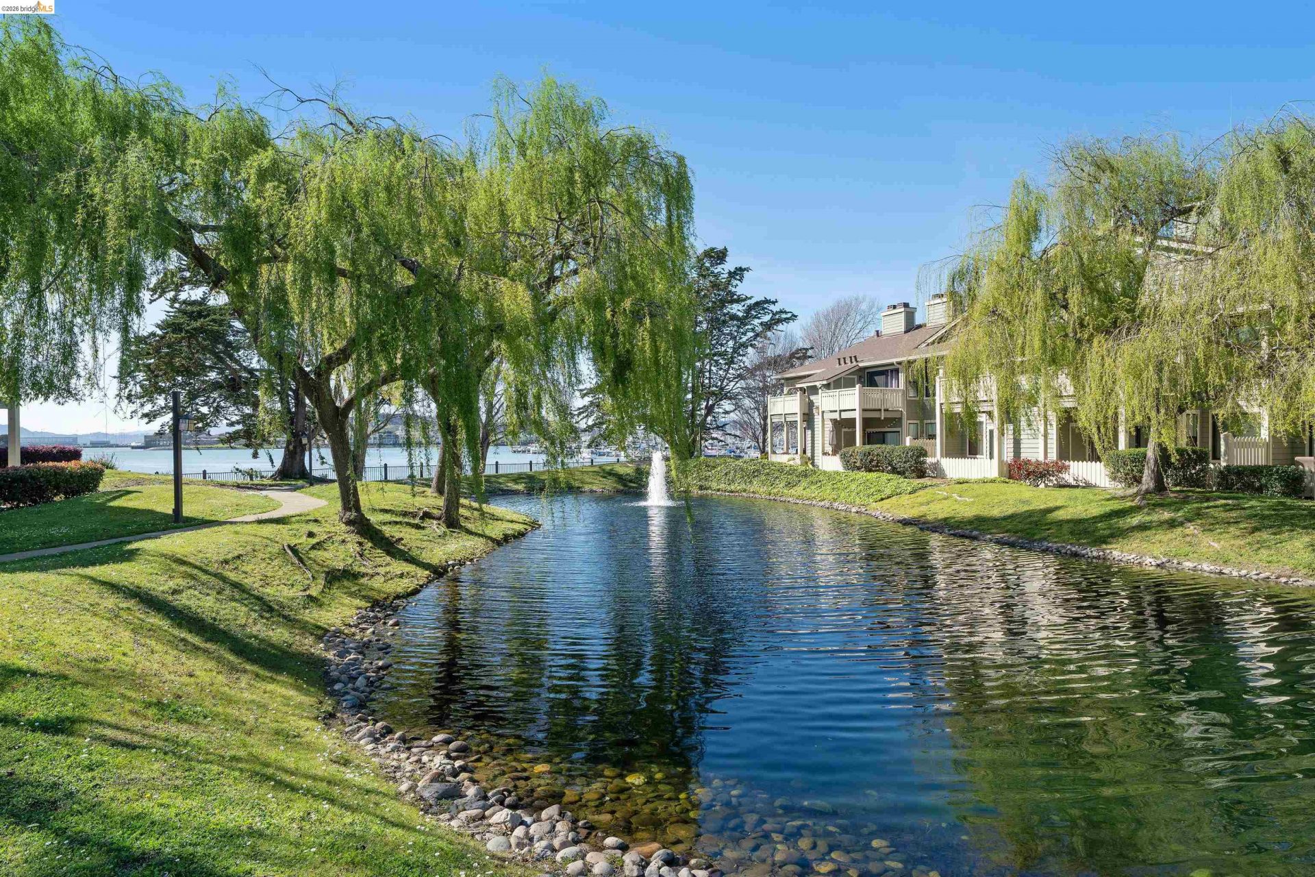 Property photo 49