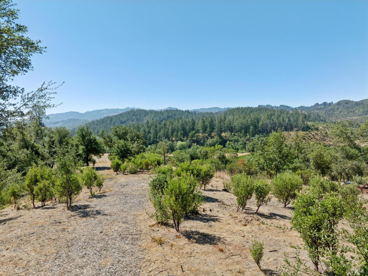 Property photo 22