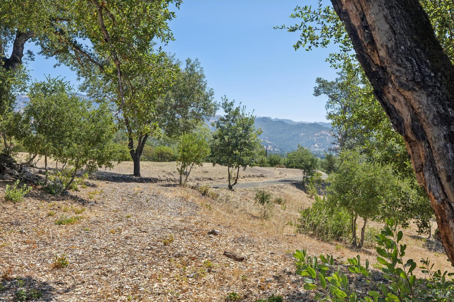 Property photo 30