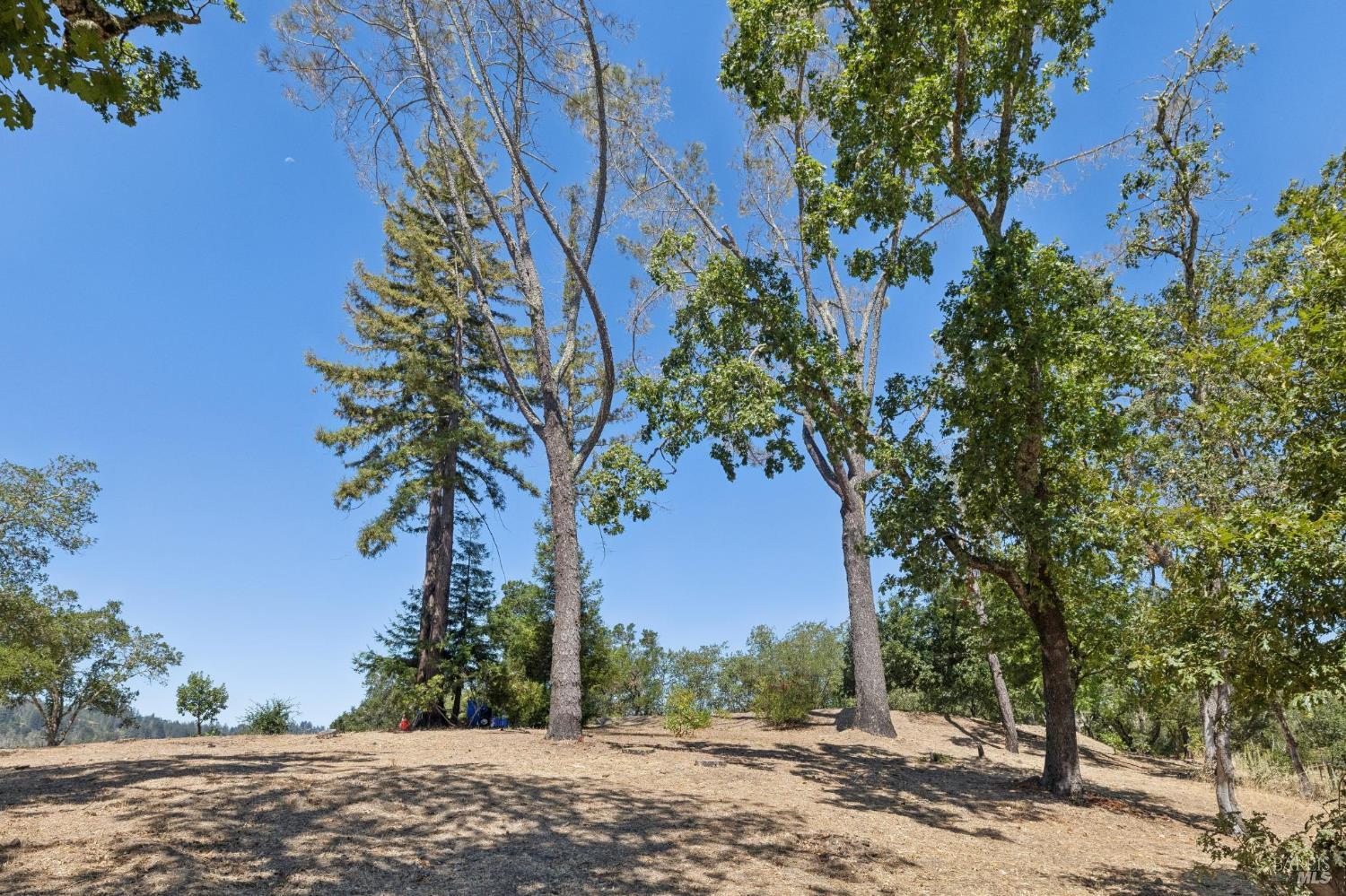 Property photo 36