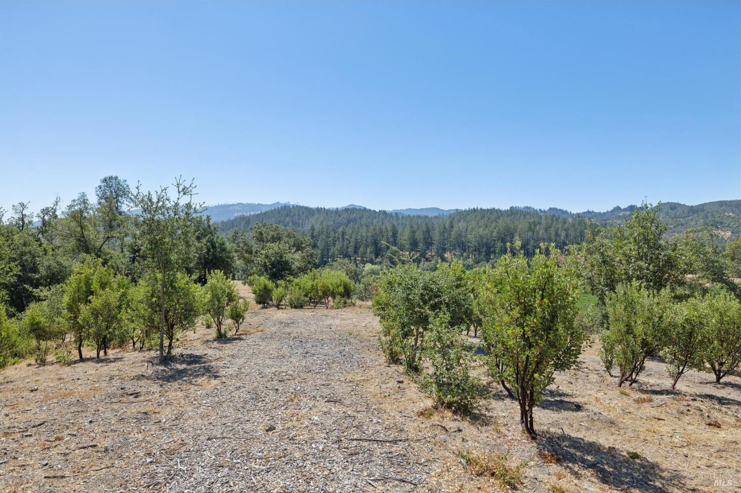 Property photo 42