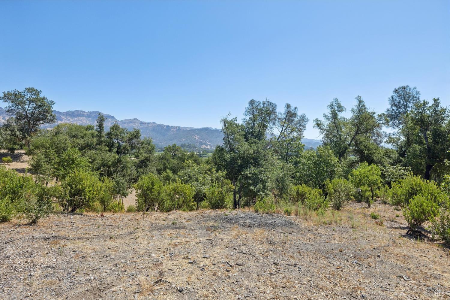 Property photo 43