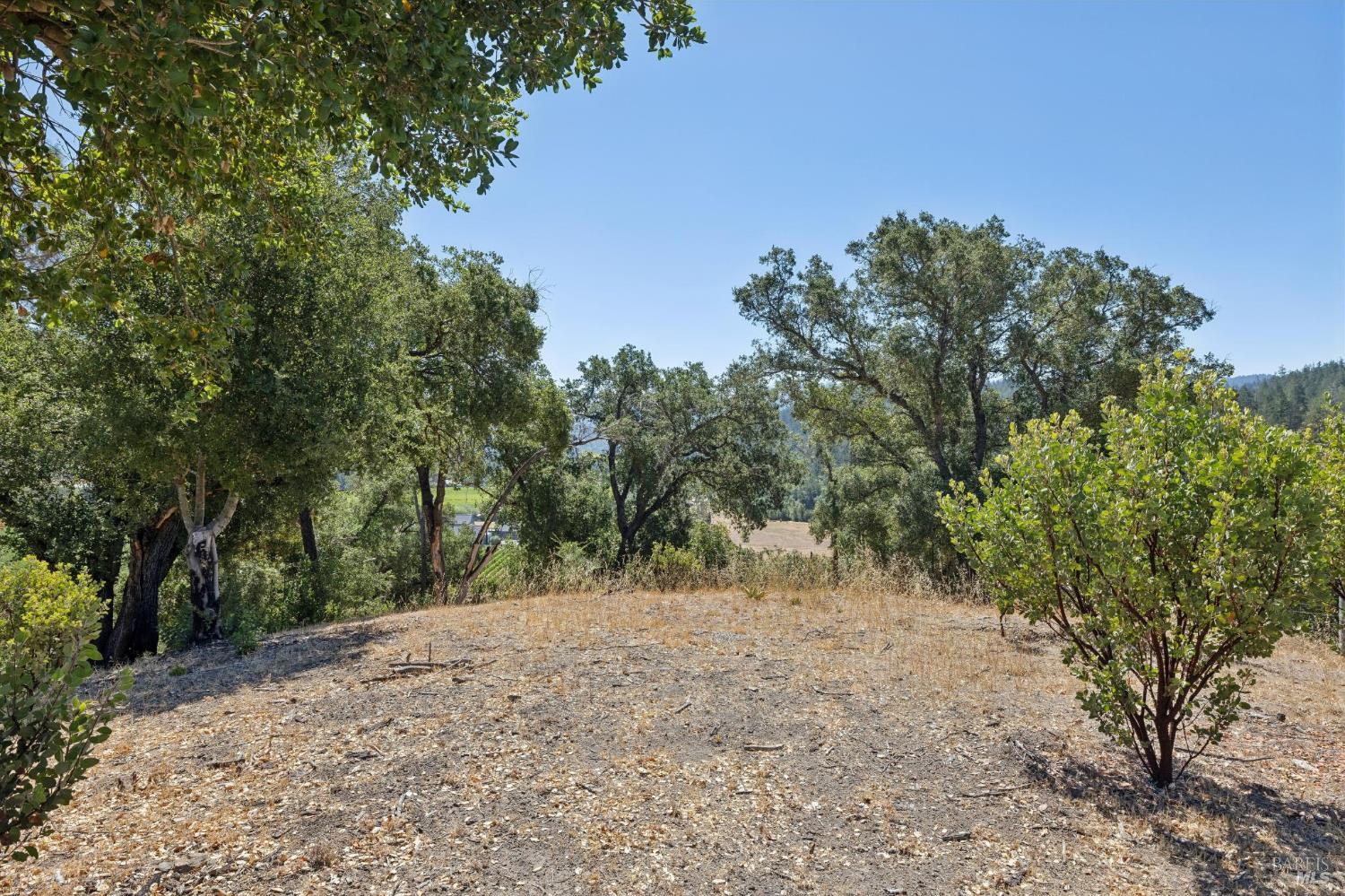 Property photo 44