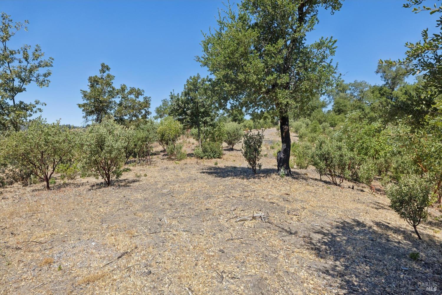 Property photo 45