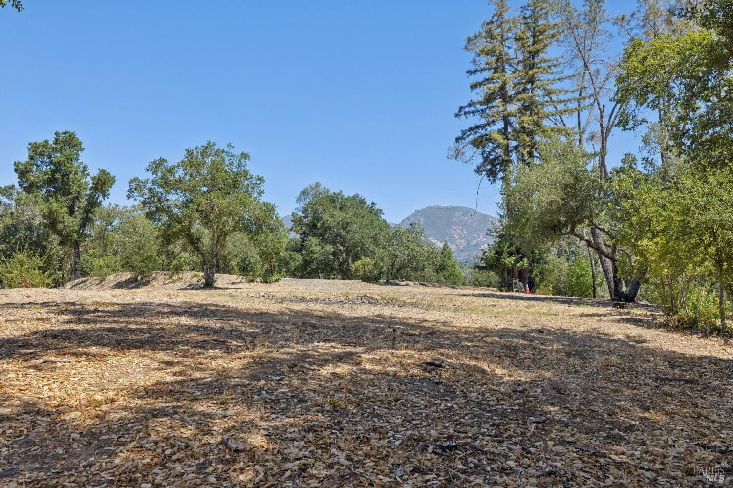 Property photo 46