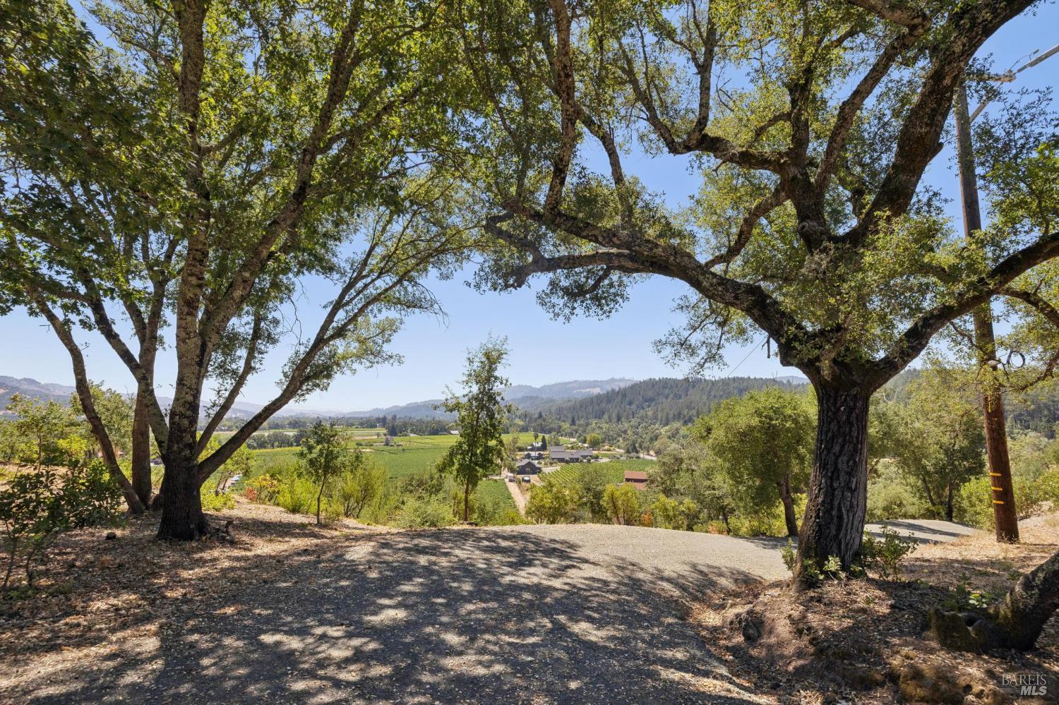 Property photo 47