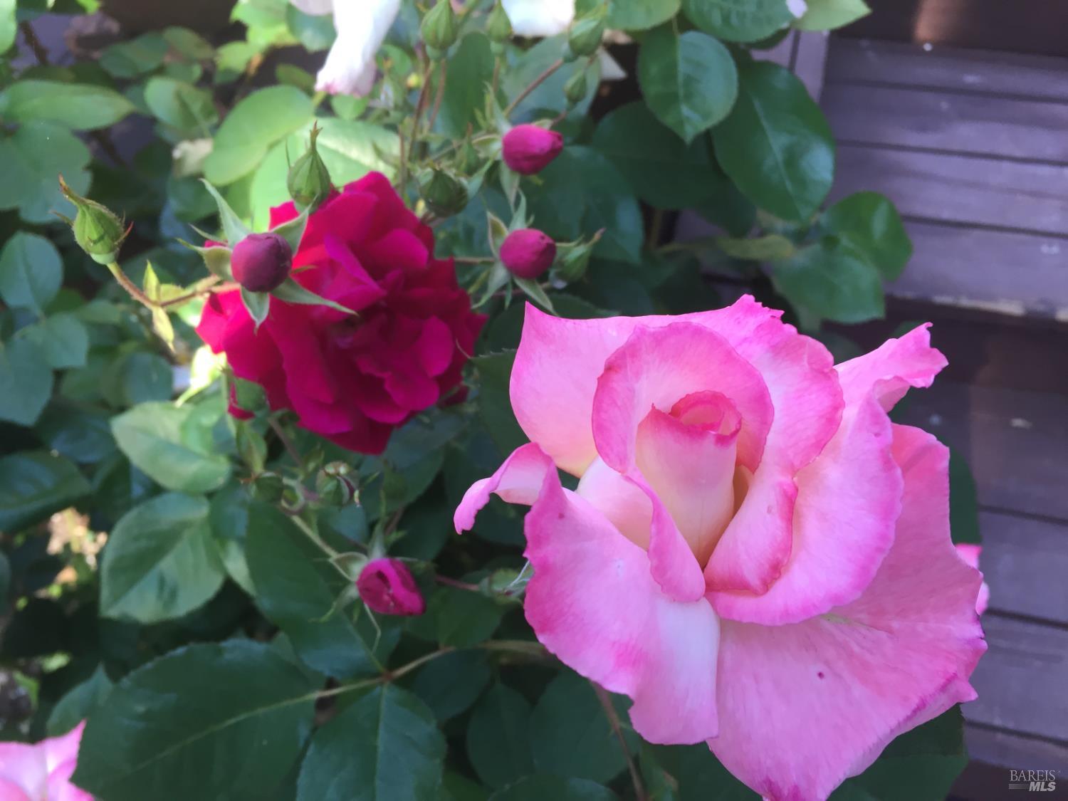 Property photo 48