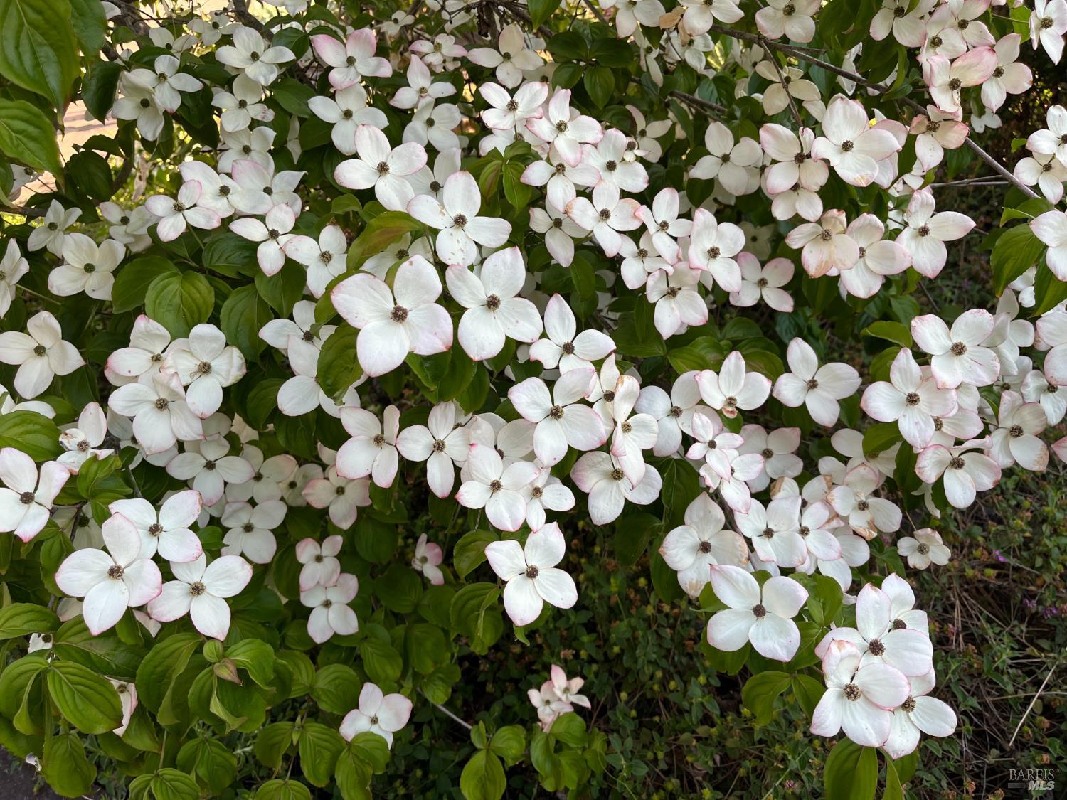 Property photo 49