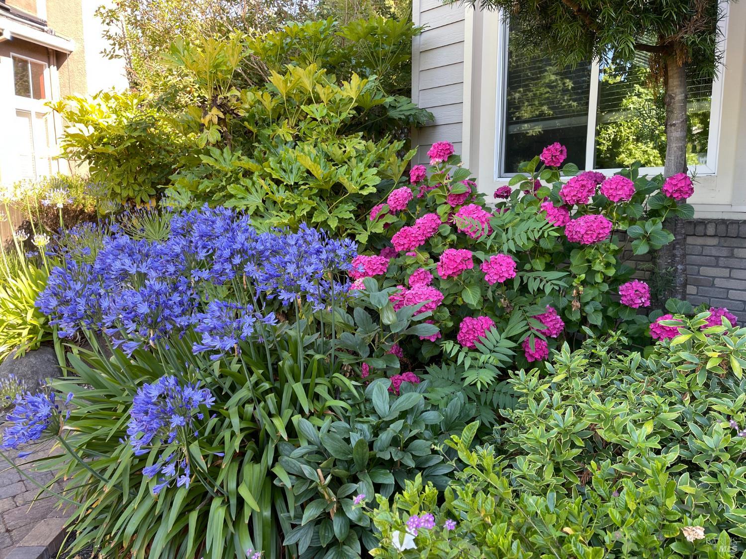 Property photo 50