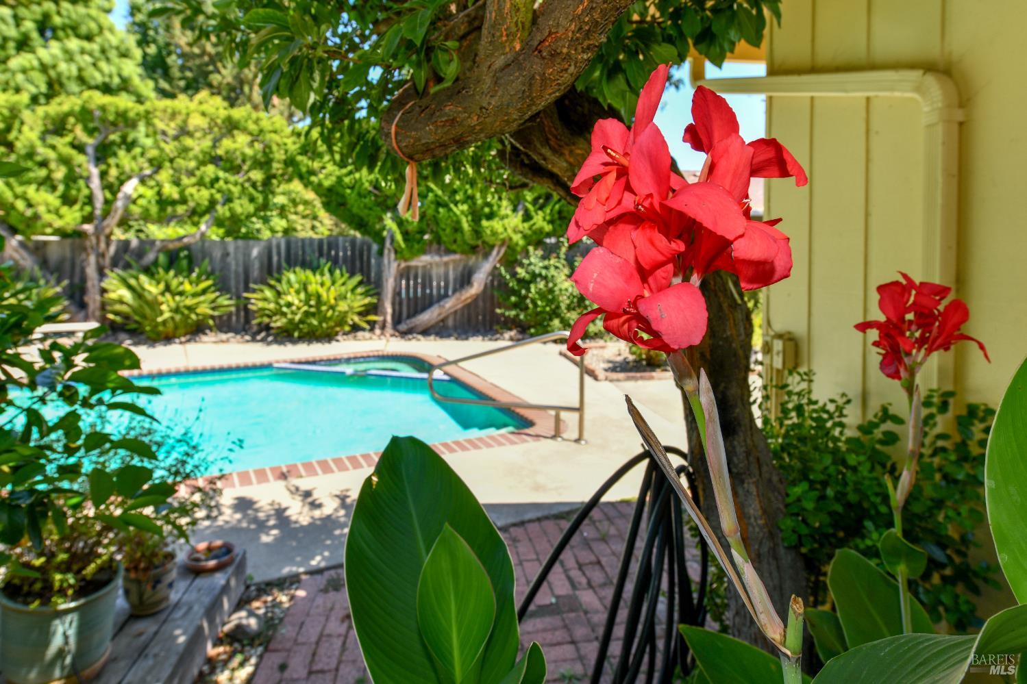 Property photo 50