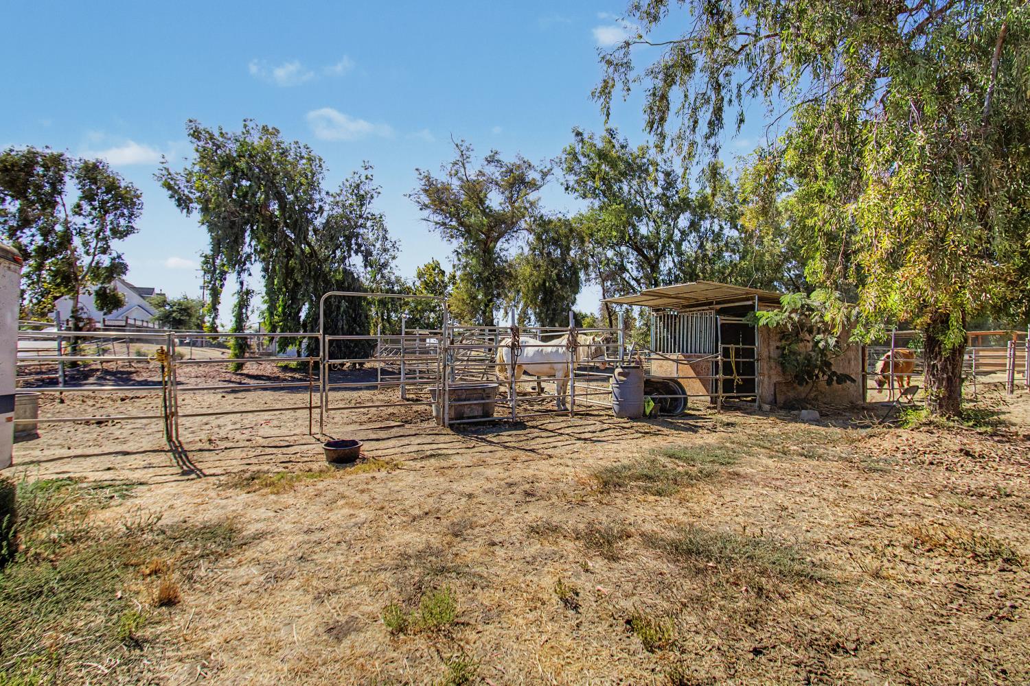 Property photo 31