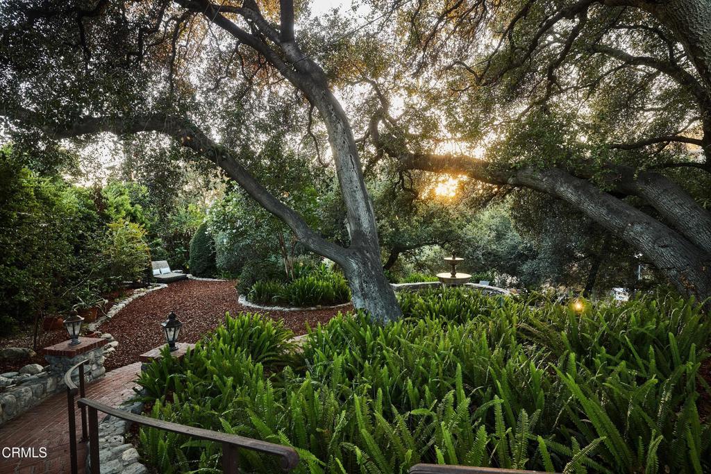 Property photo 42