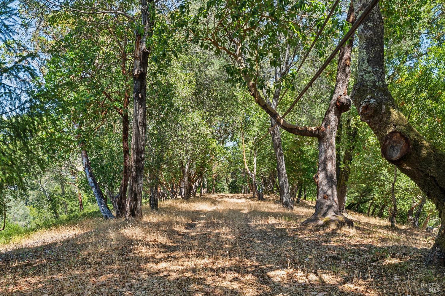 Property photo 51