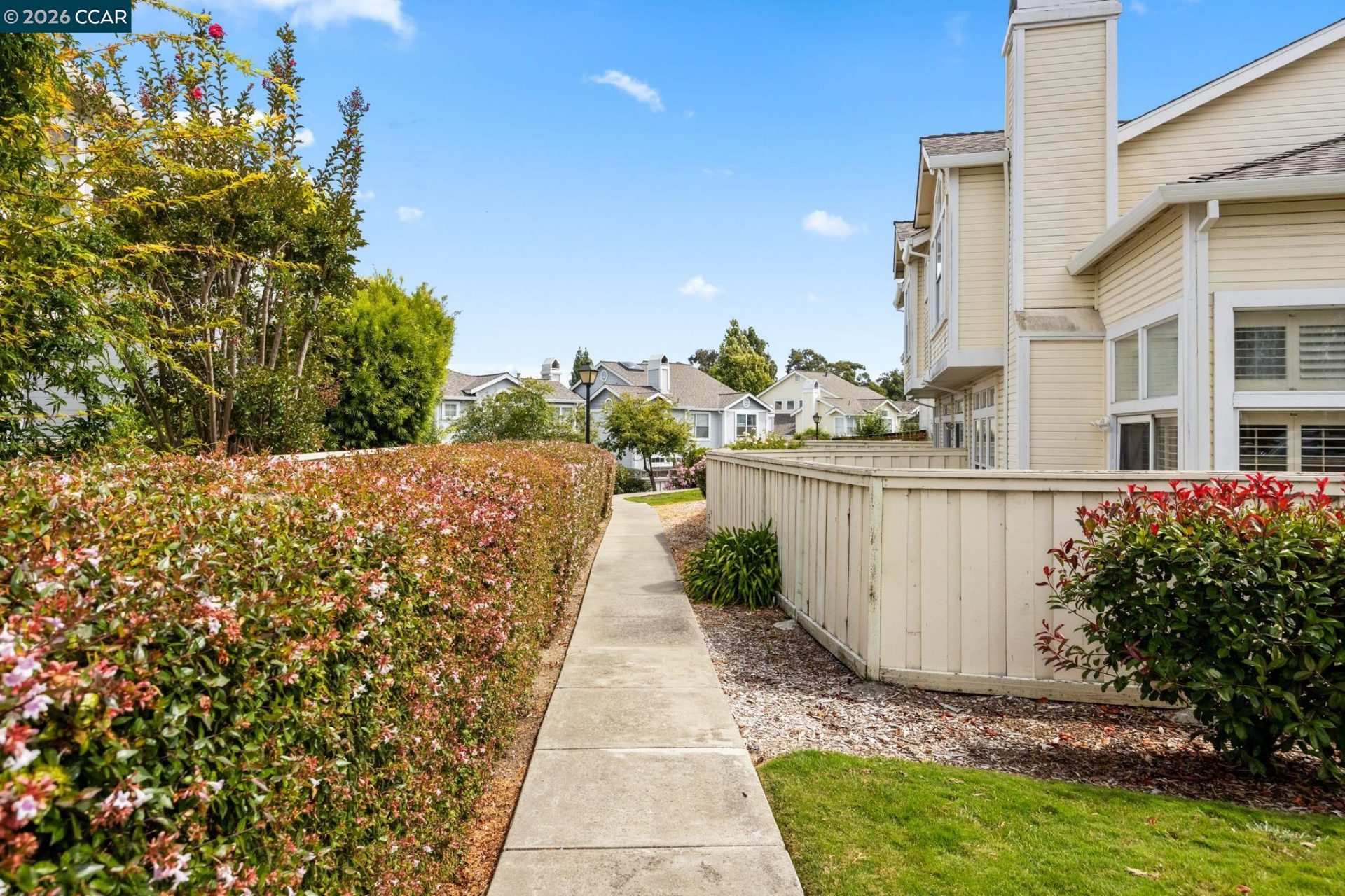 Property photo 44