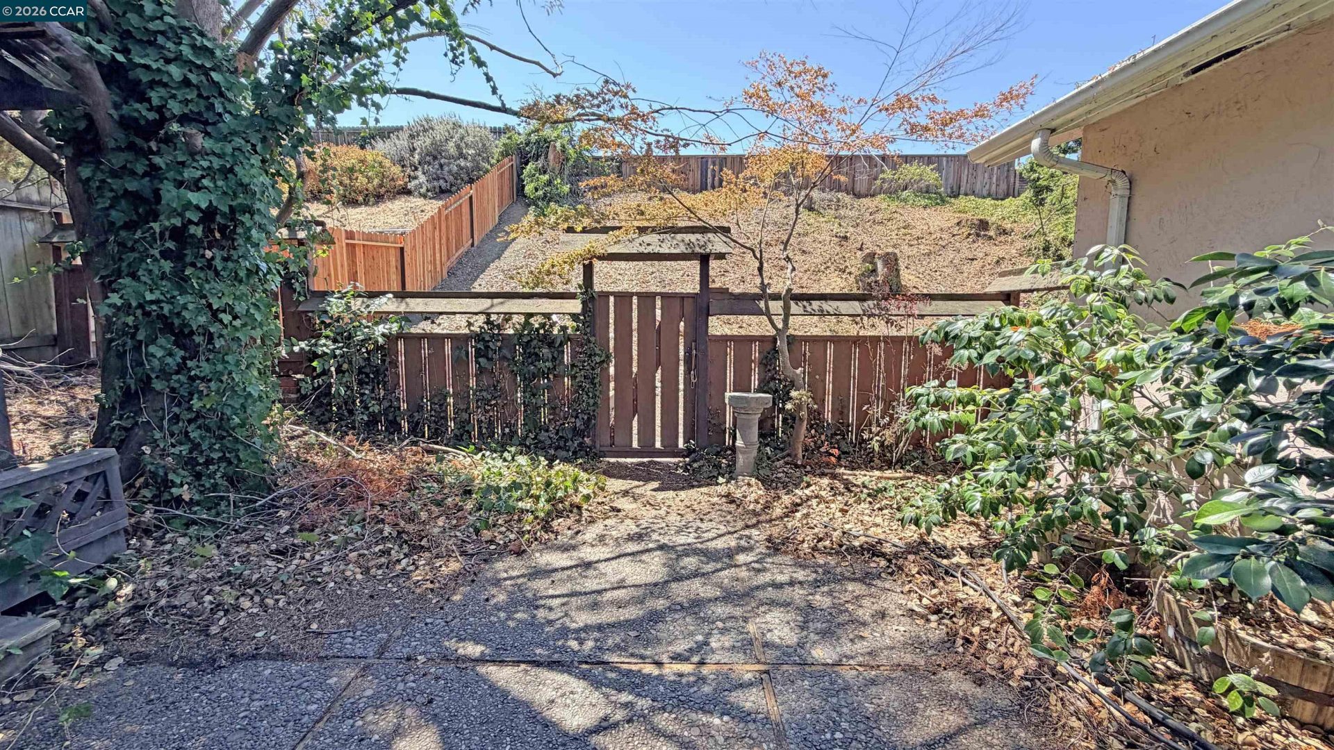 Property photo 19