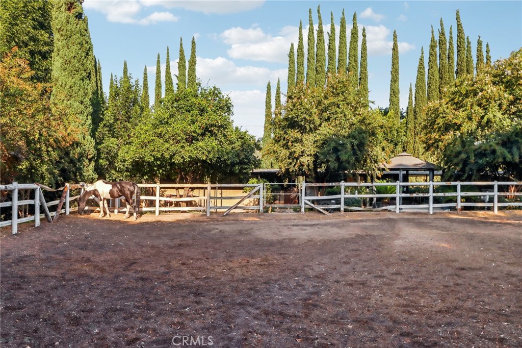 Property photo 49