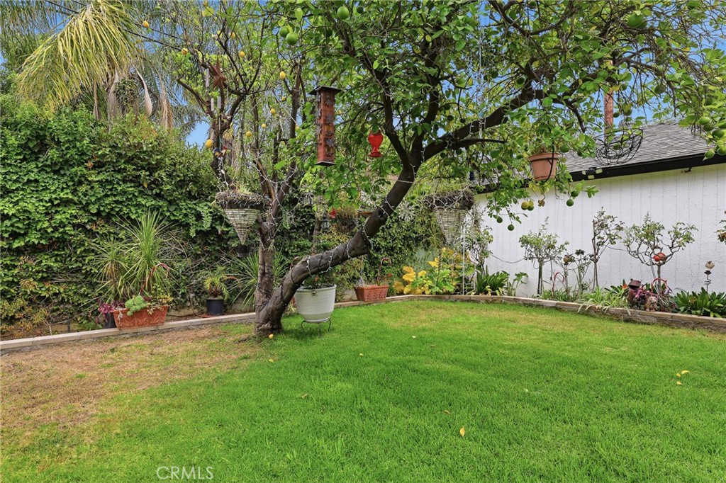 Property photo 44