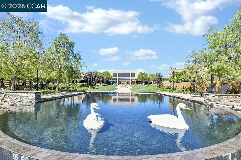 Property photo 46