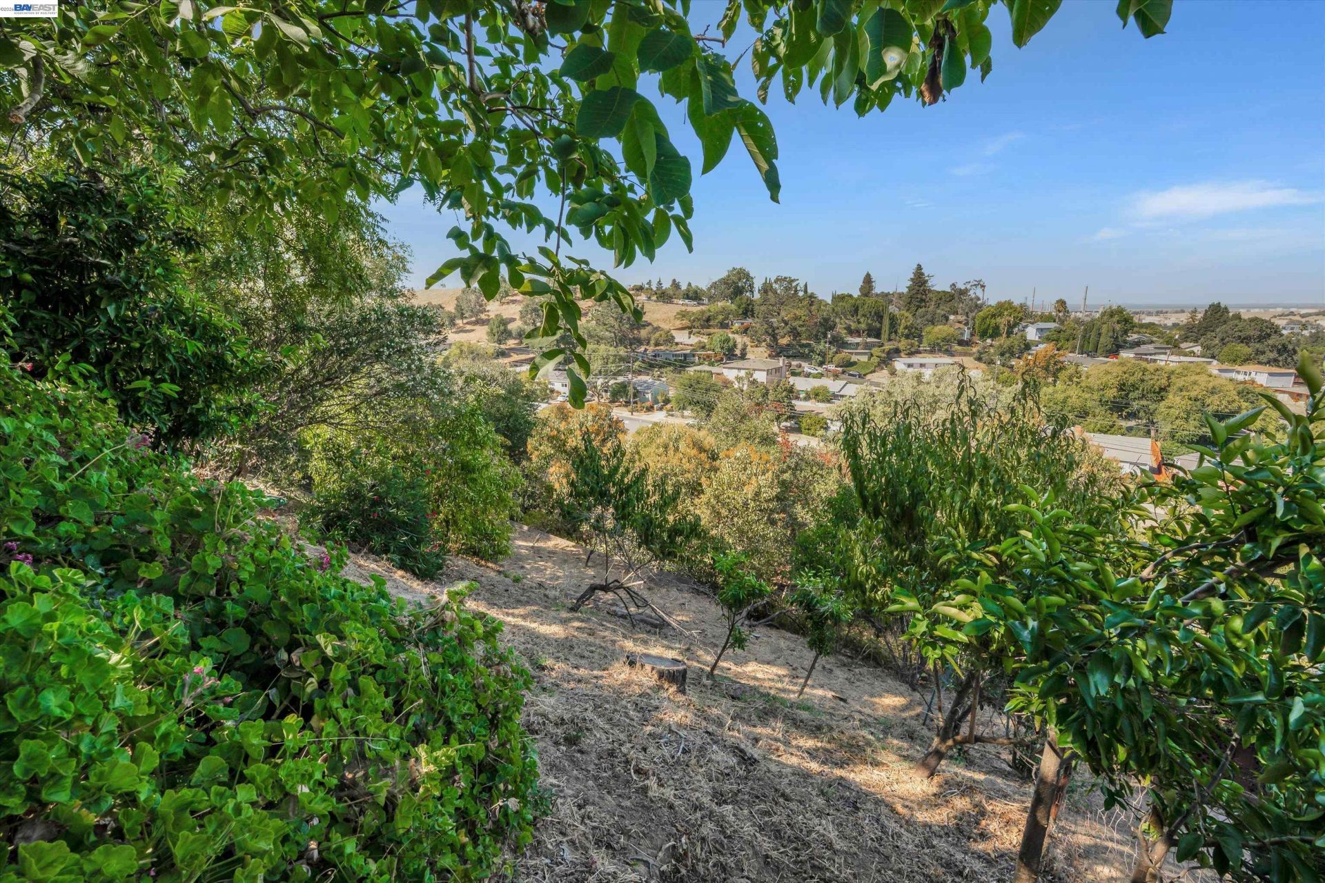 Property photo 45