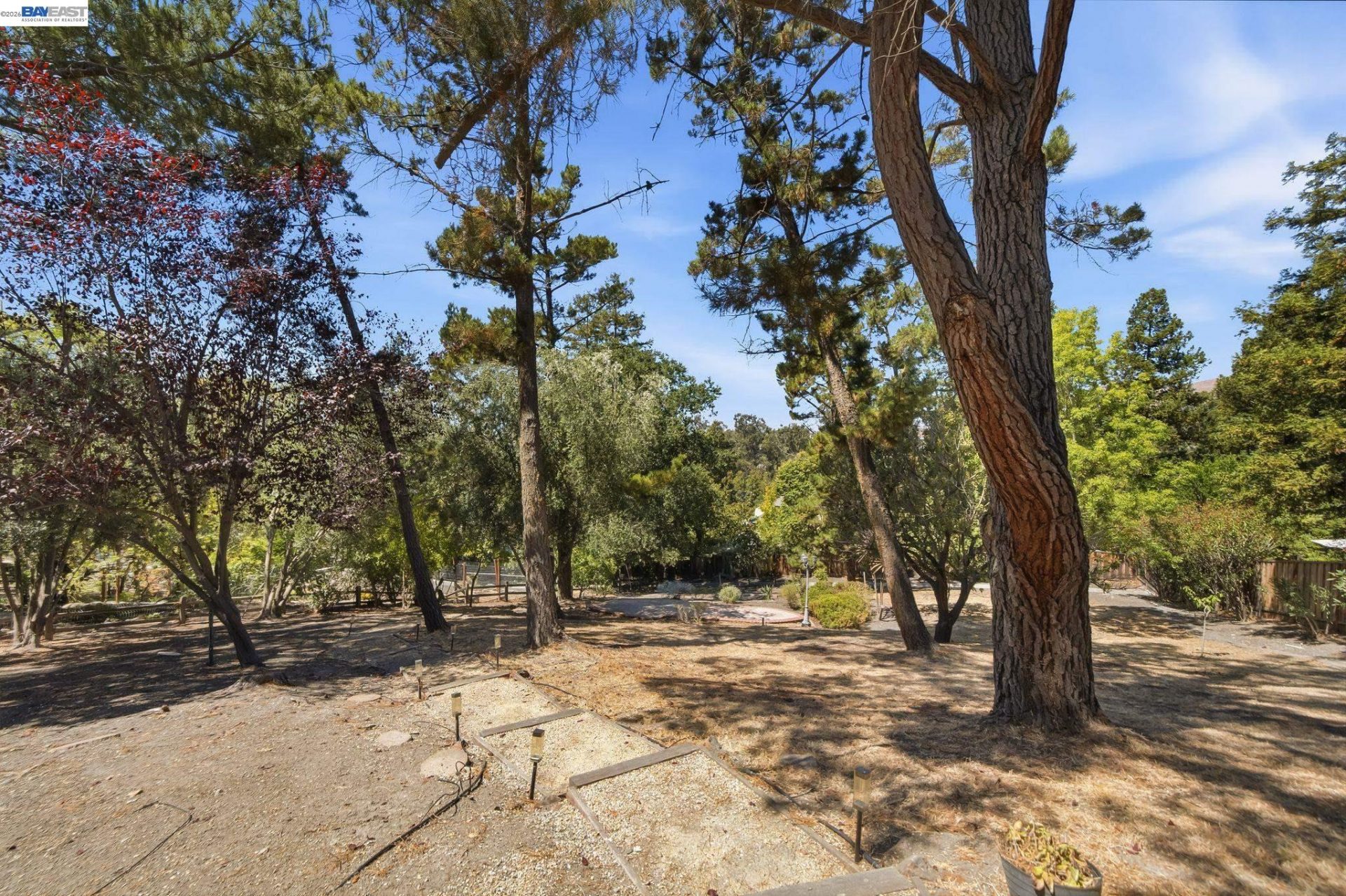 Property photo 49
