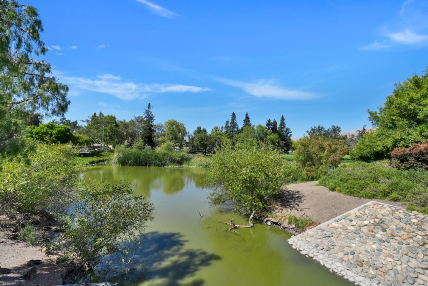 Property photo 40