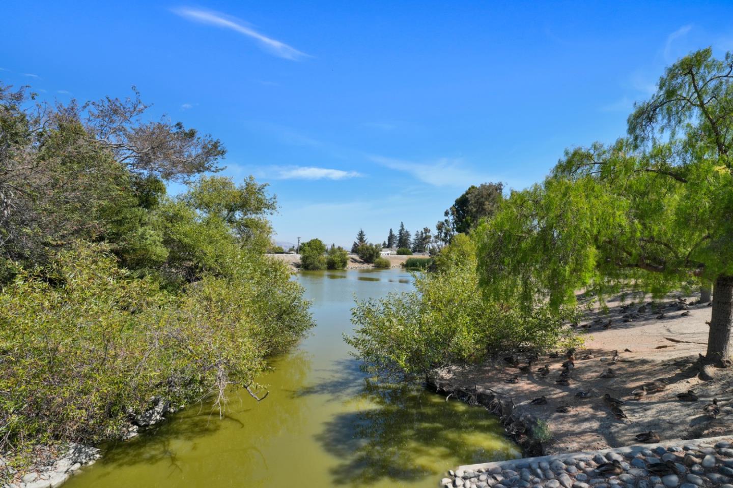 Property photo 41