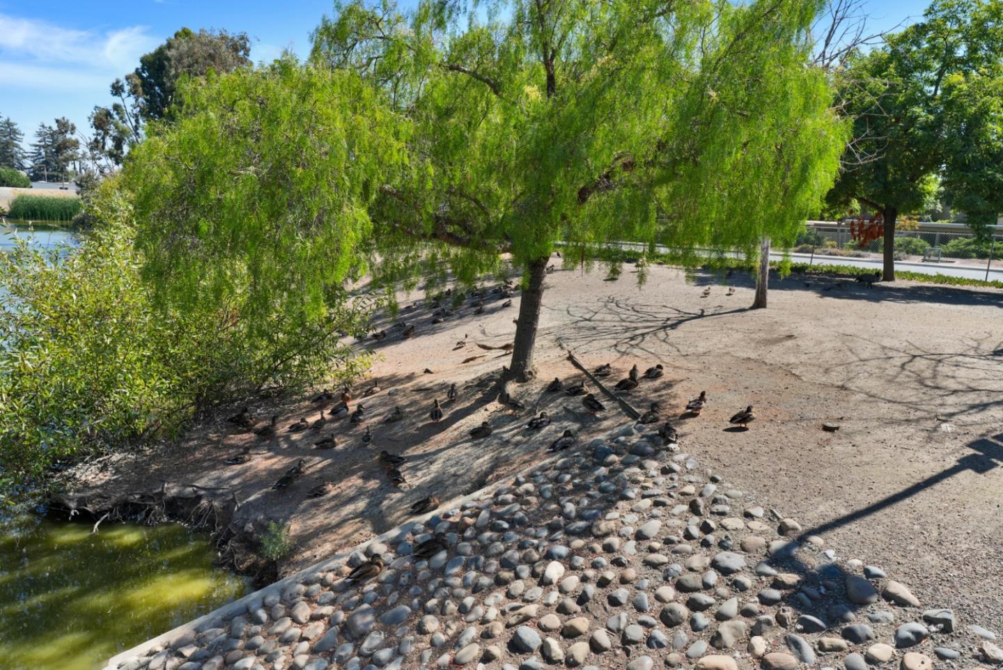 Property photo 42