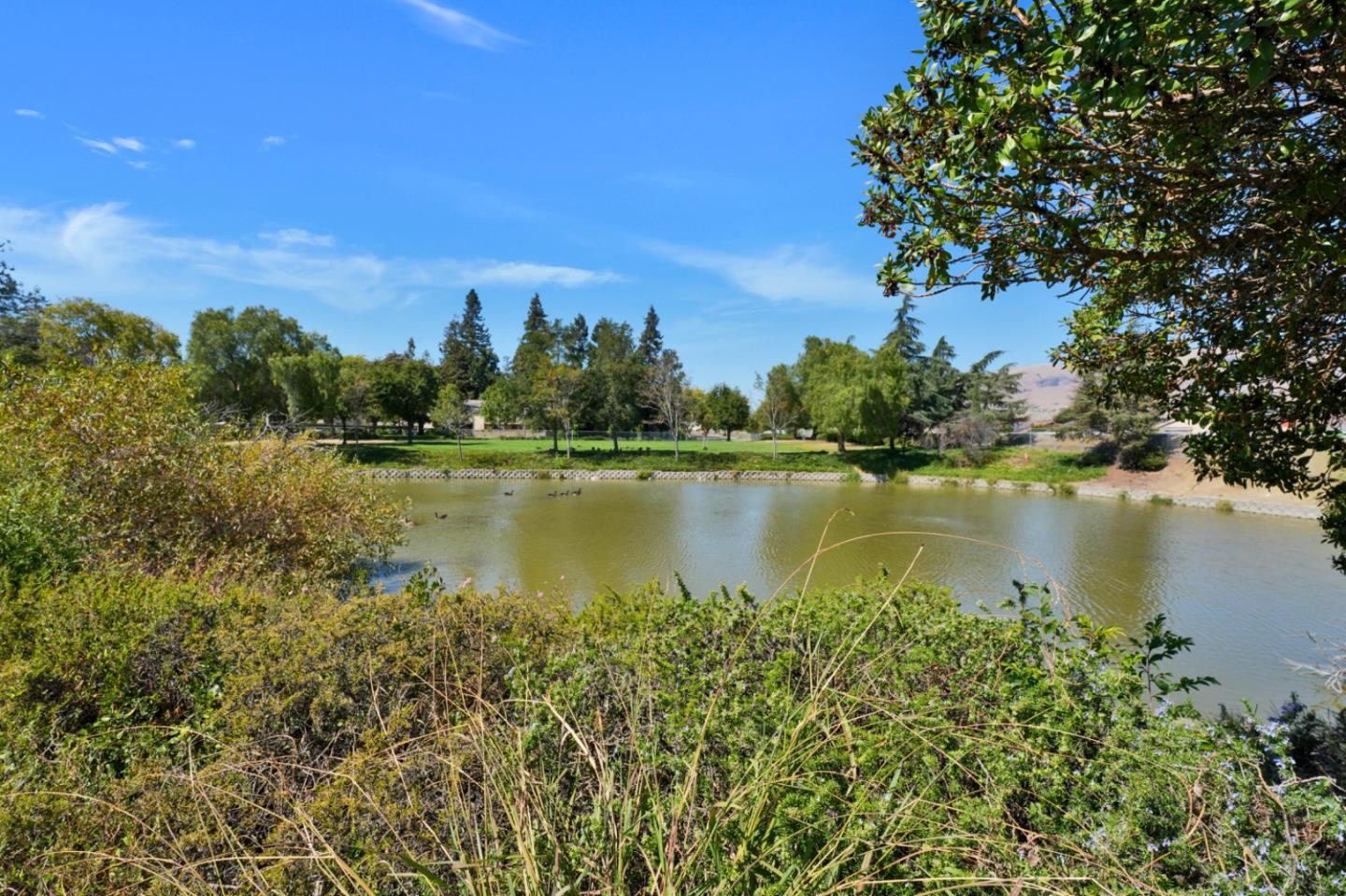 Property photo 43