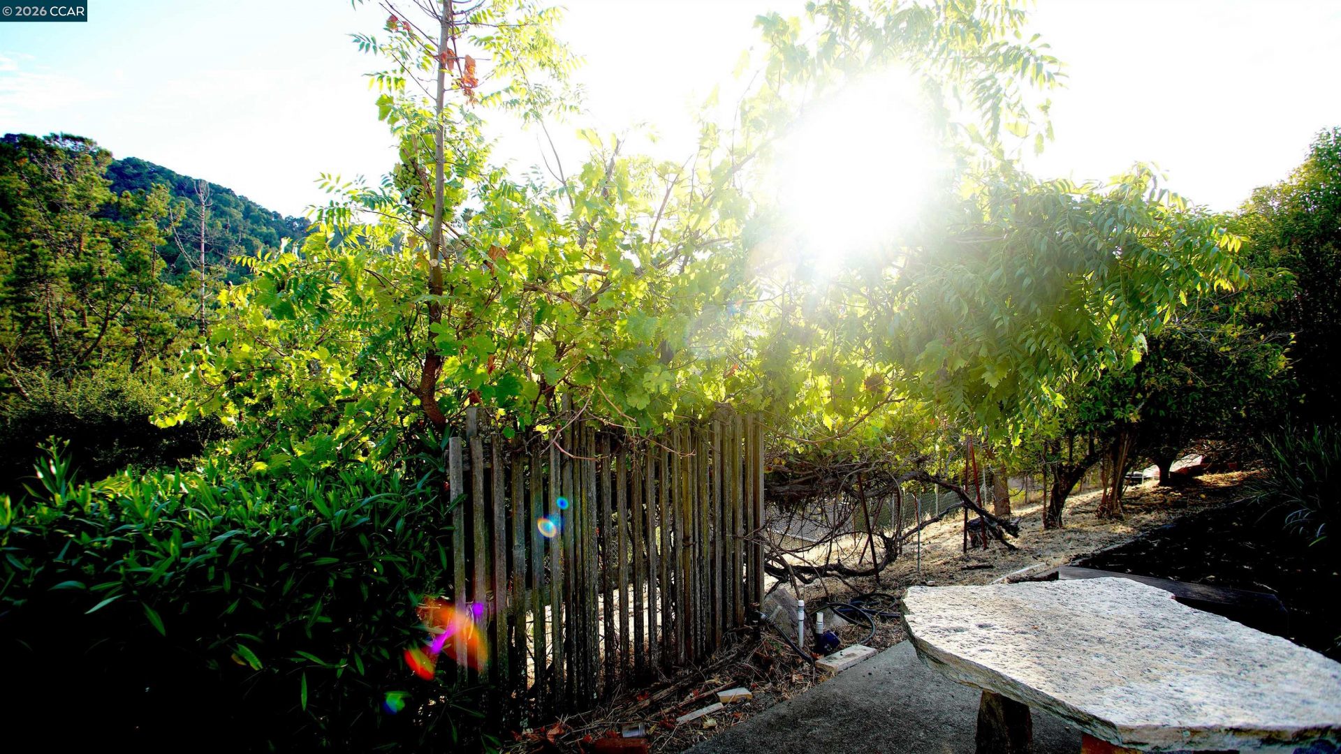 Property photo 42
