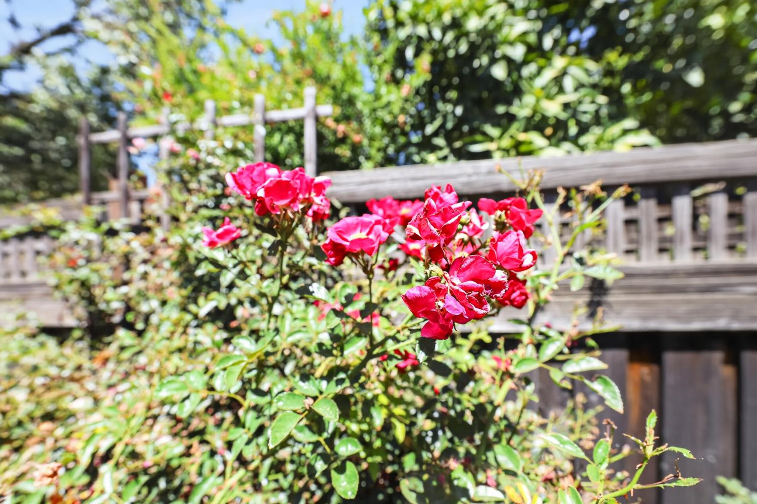 Property photo 36