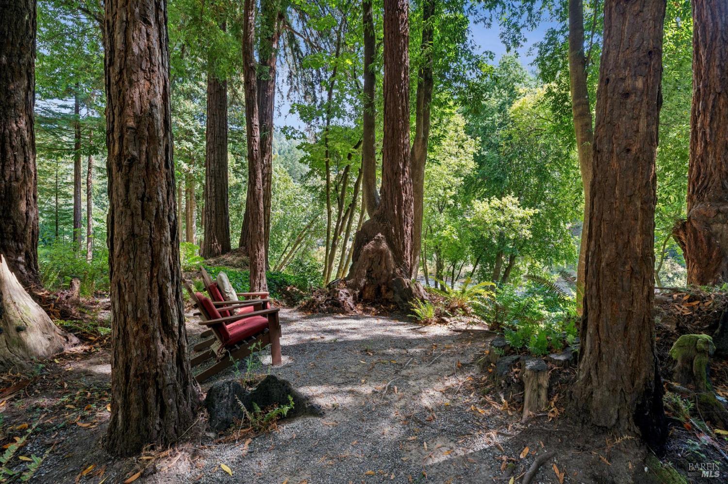 Property photo 36