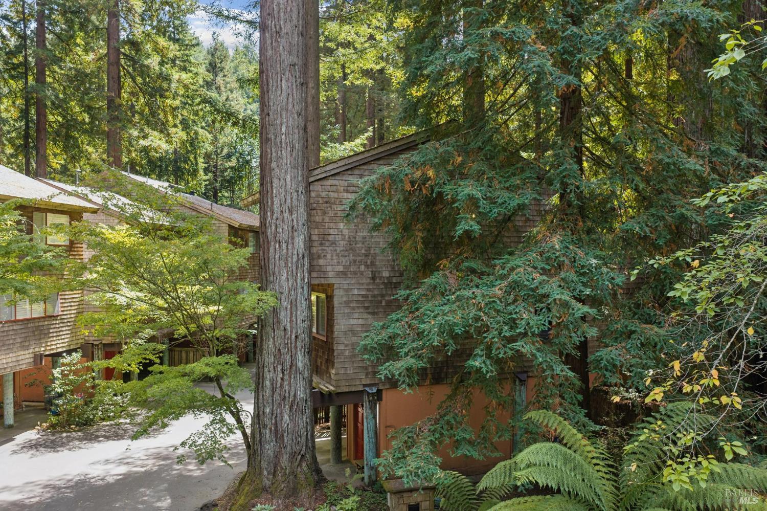 Property photo 42