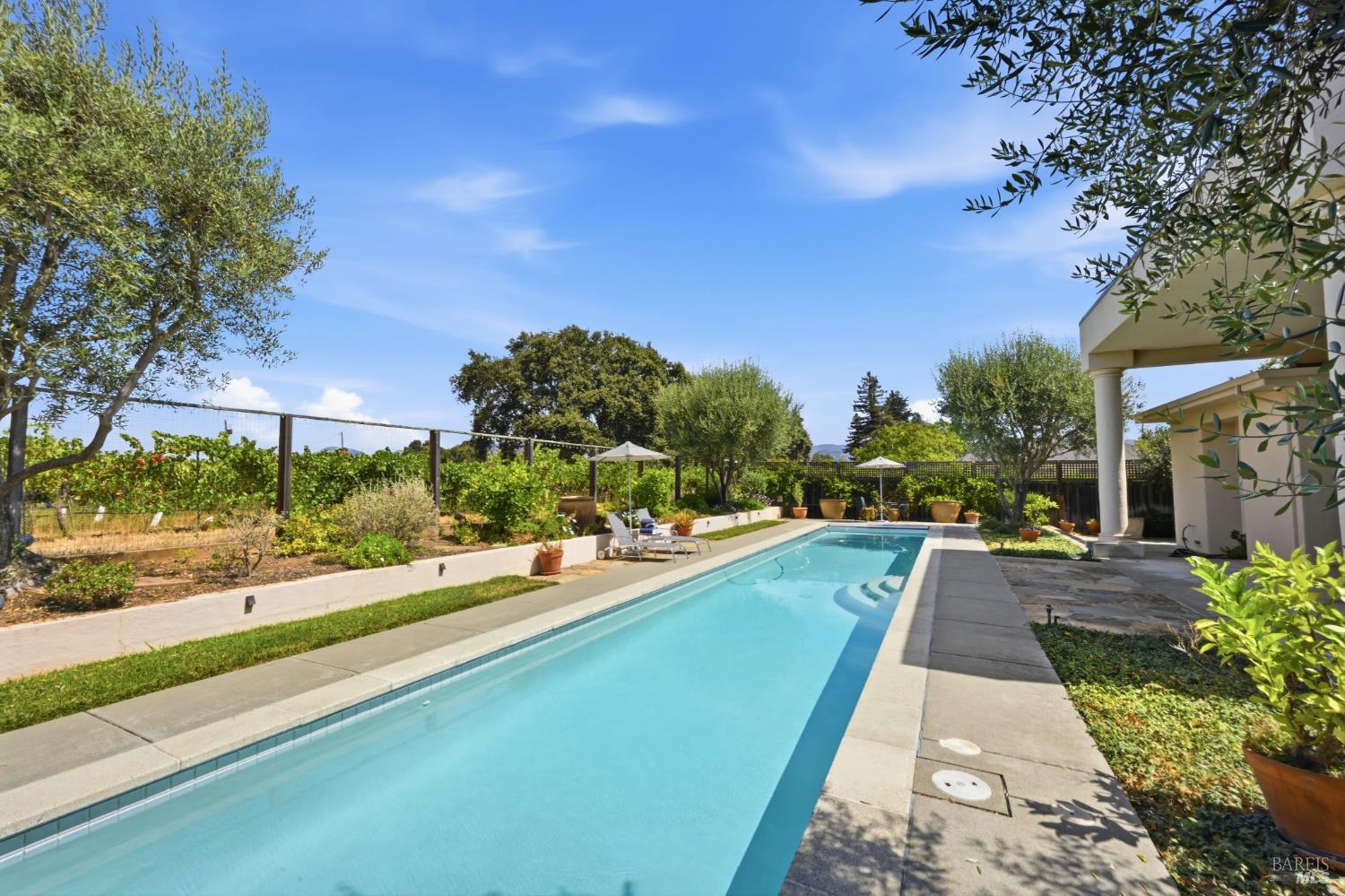 Property photo 47