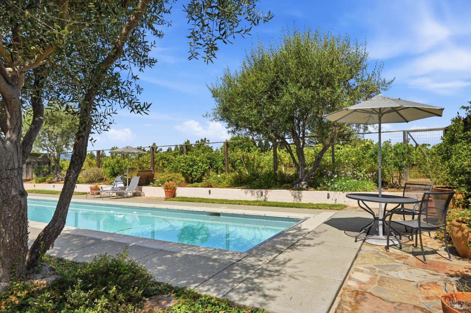Property photo 48