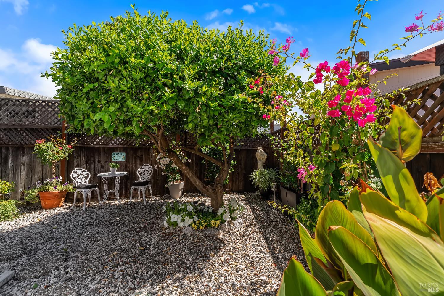 Property photo 46