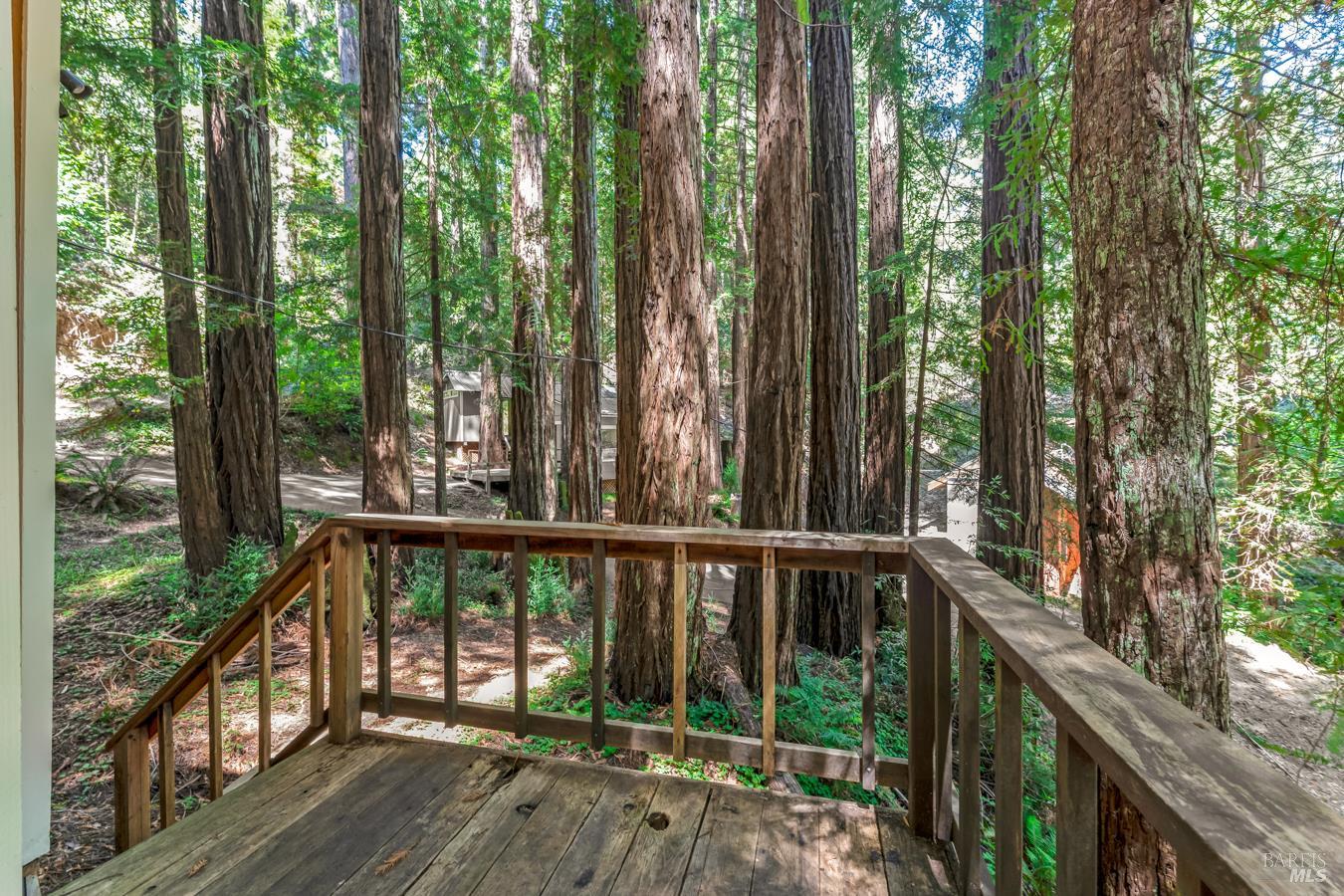 Property photo 44