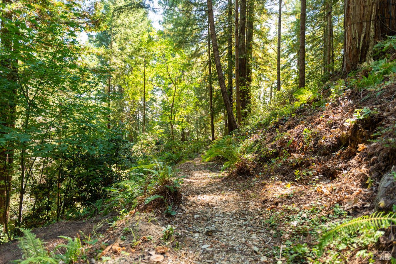 Property photo 48