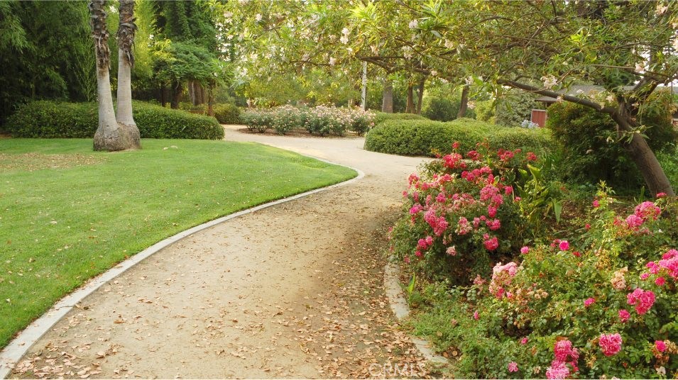 Property photo 43