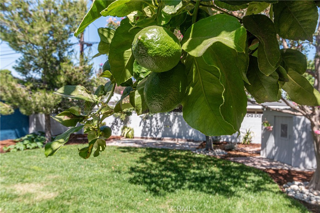 Property photo 40