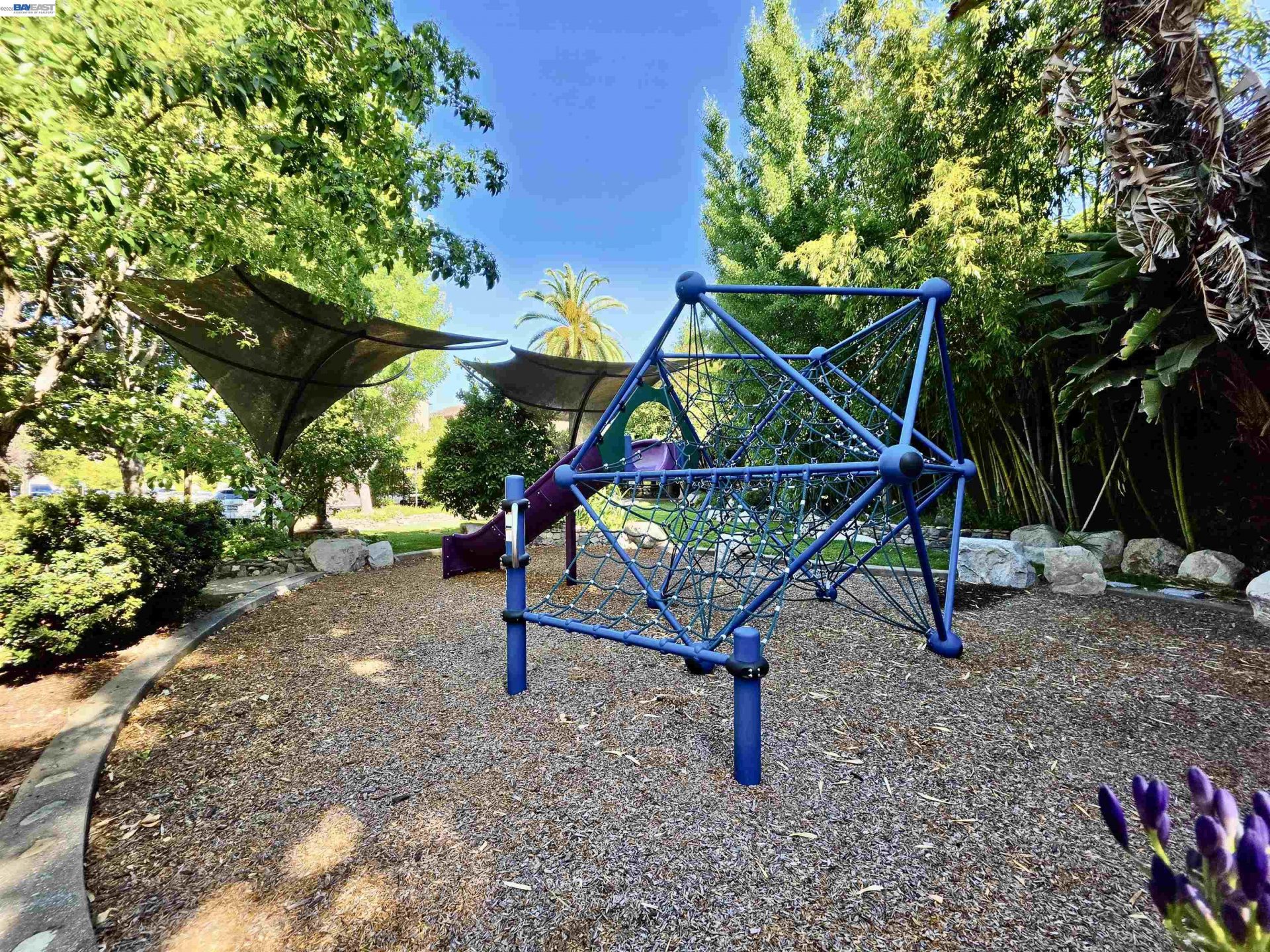 Property photo 46