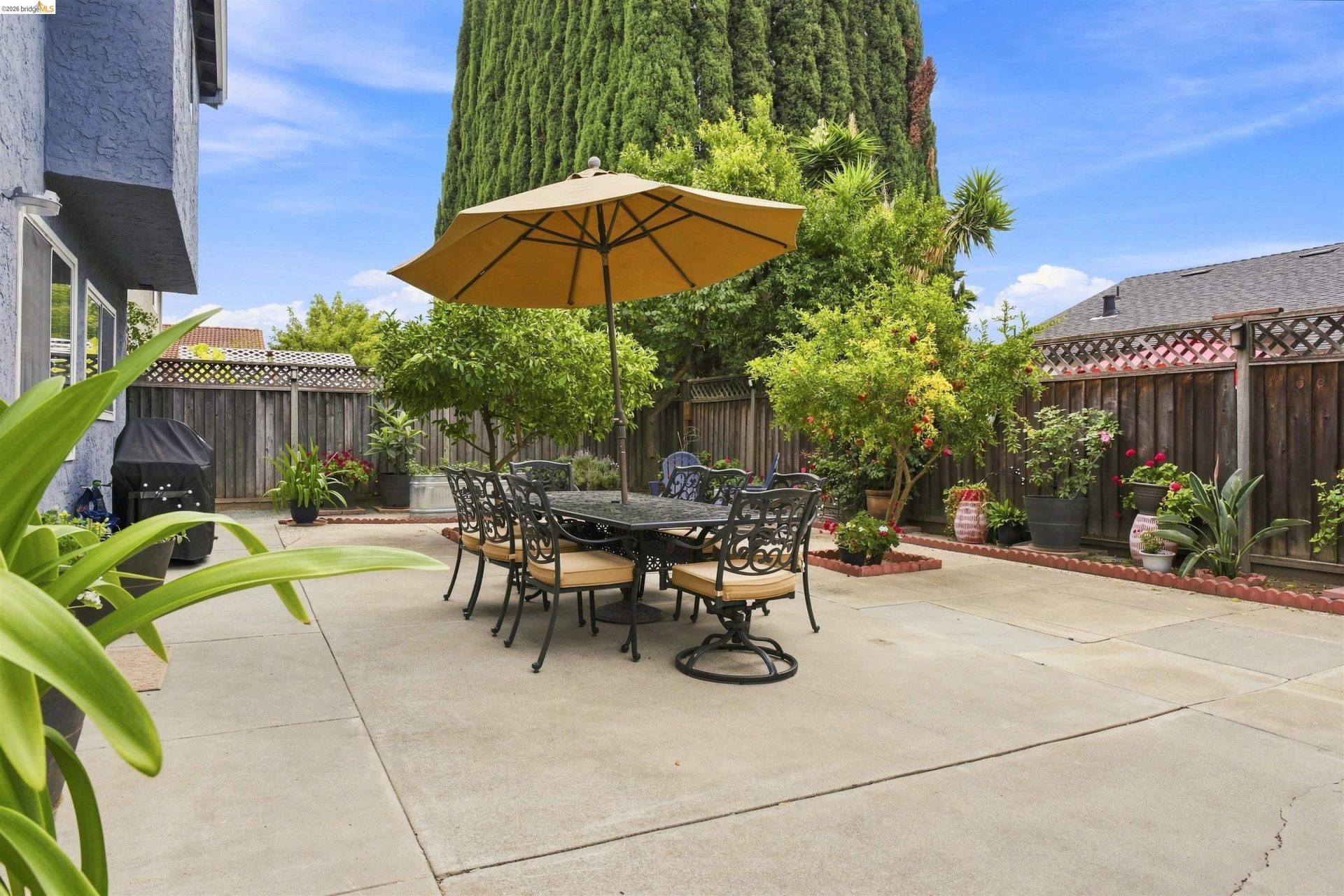 Property photo 41