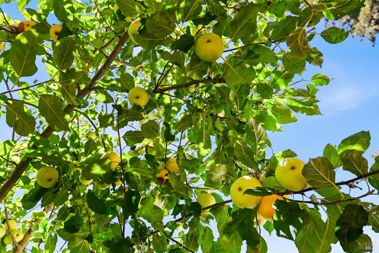 Property photo 41