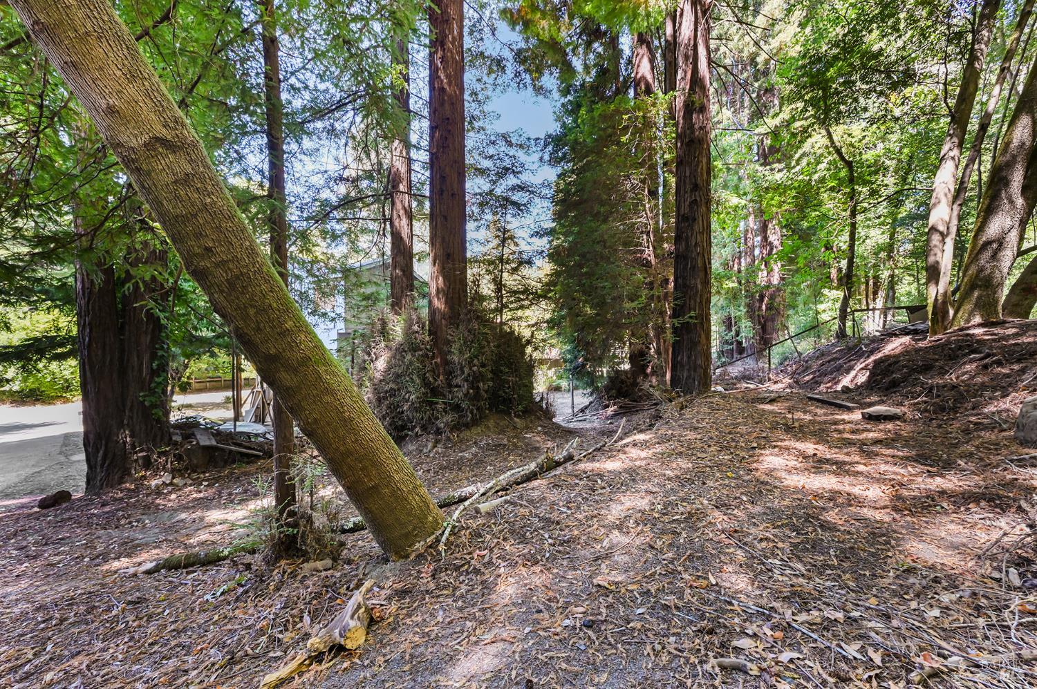 Property photo 48