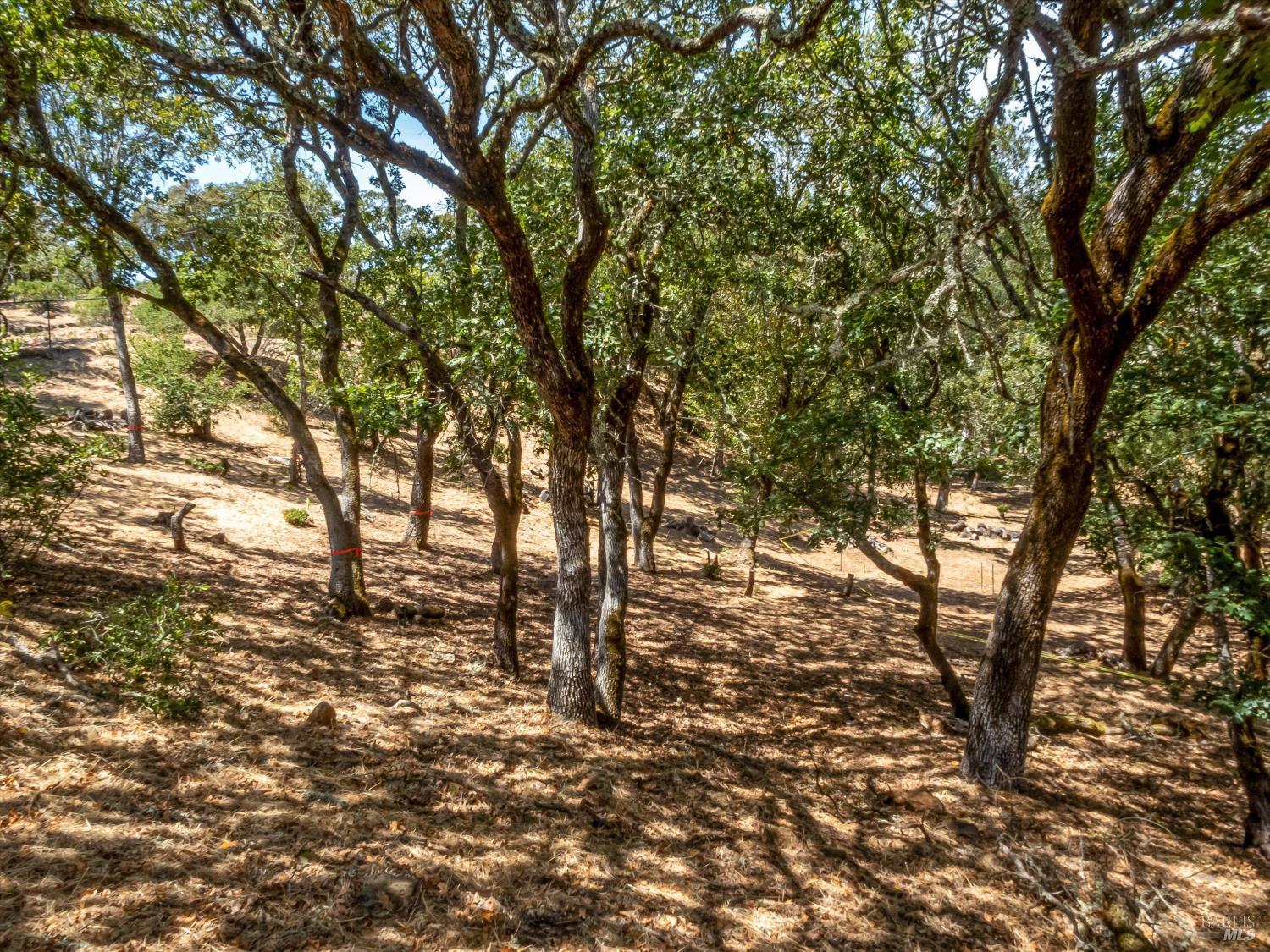Property photo 19