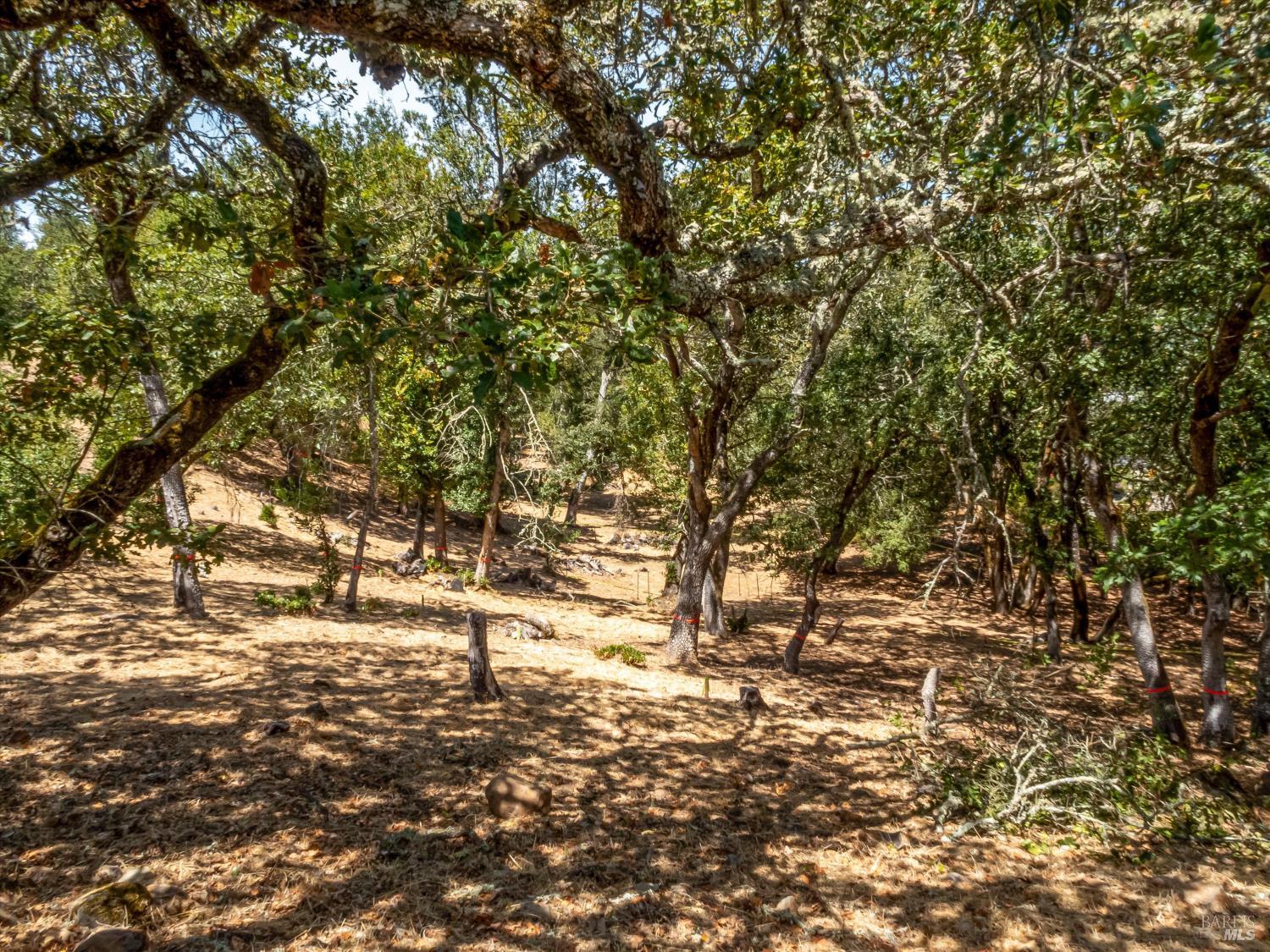 Property photo 20